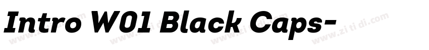 Intro W01 Black Caps字体转换